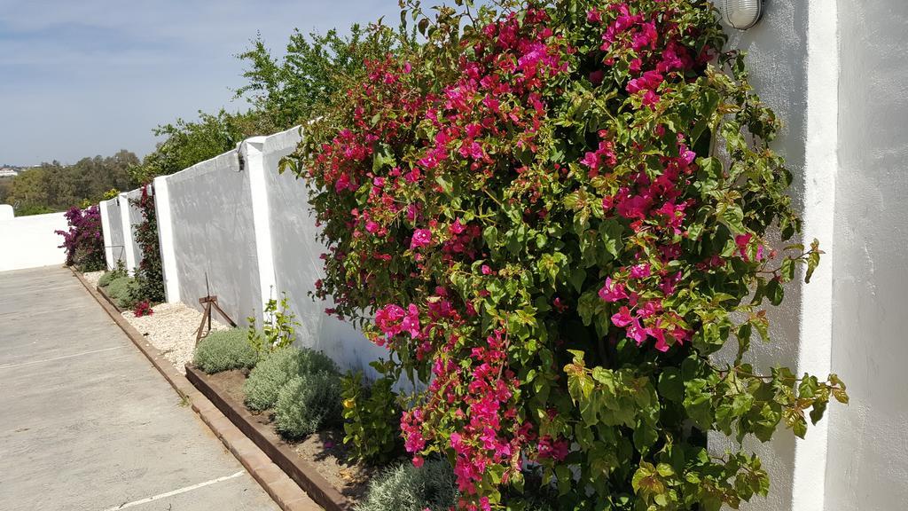 La Posada Del Duende Arcos de la Frontera Ngoại thất bức ảnh