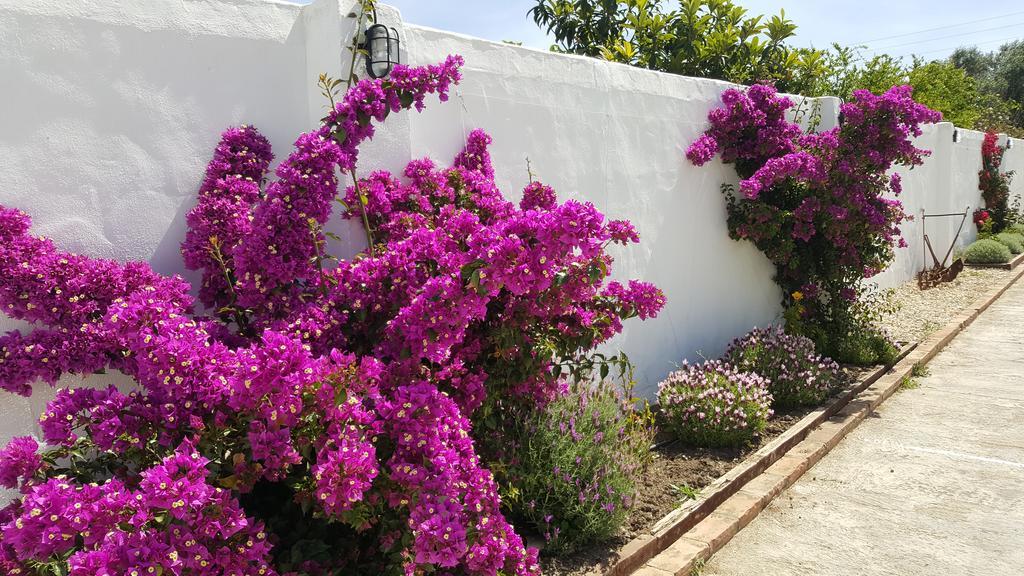 La Posada Del Duende Arcos de la Frontera Ngoại thất bức ảnh