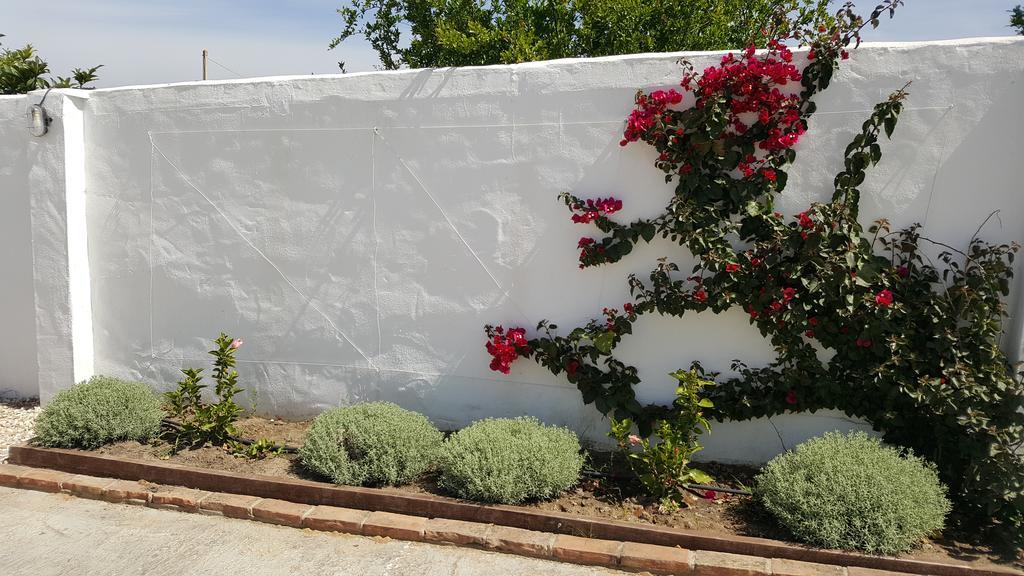 La Posada Del Duende Arcos de la Frontera Ngoại thất bức ảnh